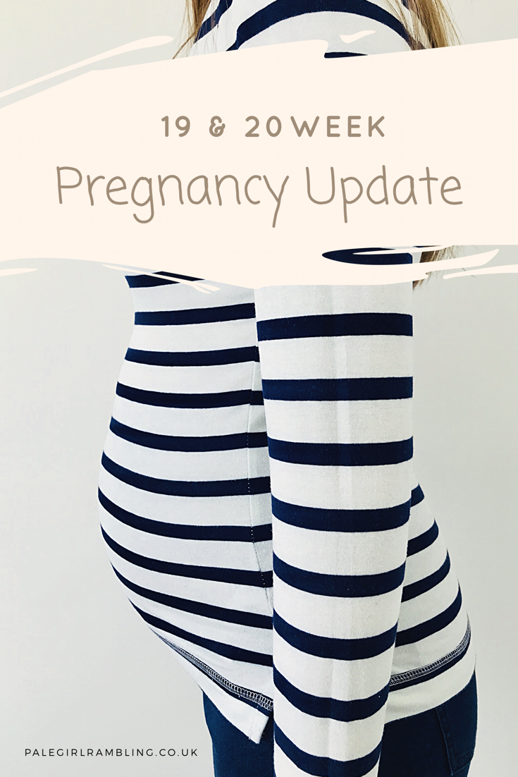 19 & 20 Week Pregnancy Update + Bumpie Baby Bump